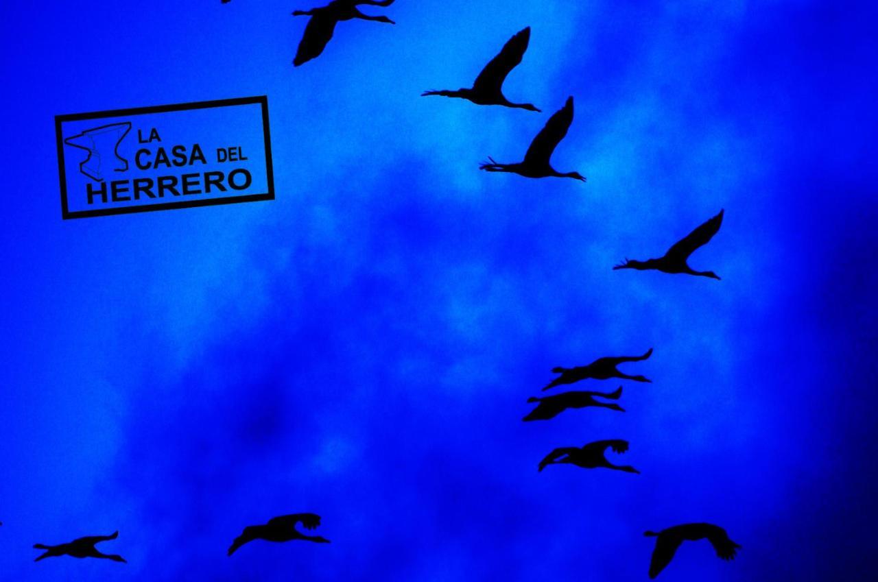 La Casa Del Herrero El Poyo Ngoại thất bức ảnh